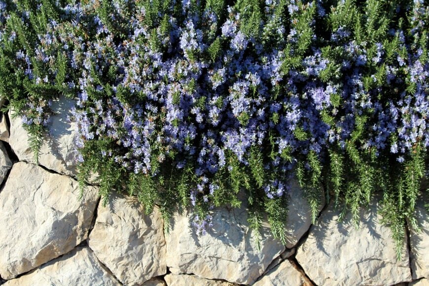 Hecos/shutterstock.com