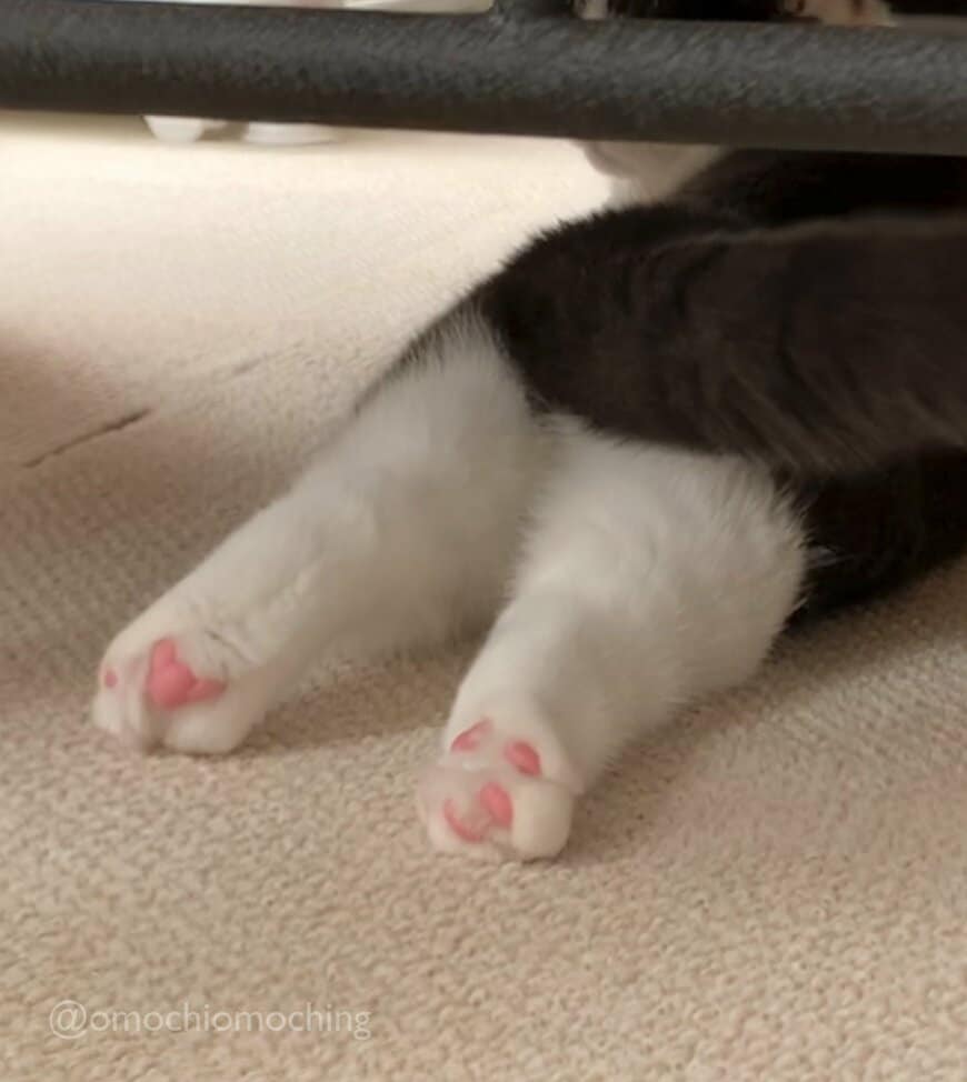 出所：@omochiomoching