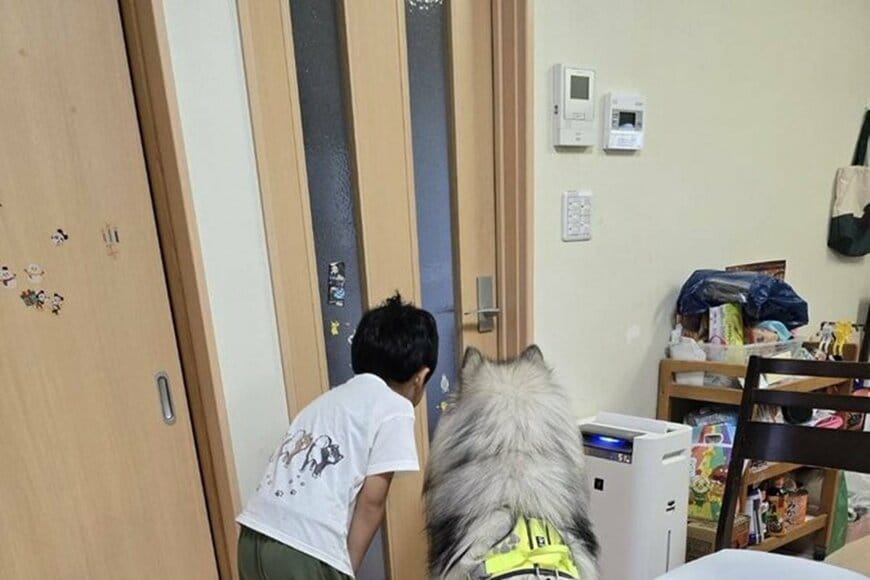 ママが出かけた後の「犬と息子」　かわいらしい光景に思わずニッコリ
