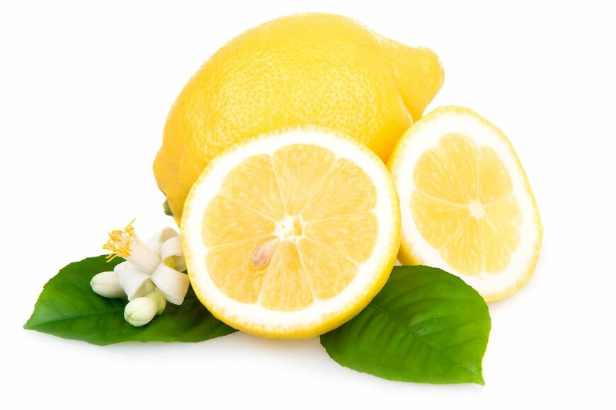 「鉢植えレモン」の育て方、葉や花のさわやかな香りを楽しもう！