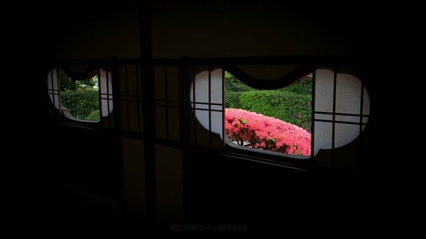 投稿の画像
