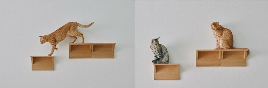 壁に付けられる家具猫用ステップ オーク材突板