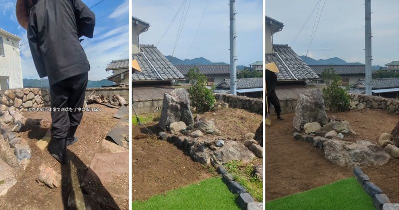 投稿の画像