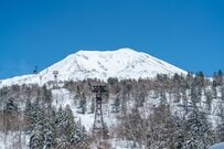 北海道・大雪山で撮影したウサギを思わず二度見　雪原に凛と立つ姿に「脚なっがい」「イメージと違う」