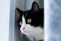 お金を生むのは「資産」だけじゃない！若いうちは“自分”に投資するのがコスパ最強？