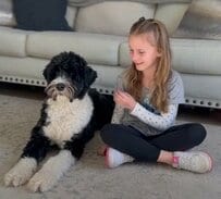 飼い犬が機械より早く察知！「1型糖尿病」の女の子を救う「糖尿病アラート犬」少女と共に生きる命のパートナー