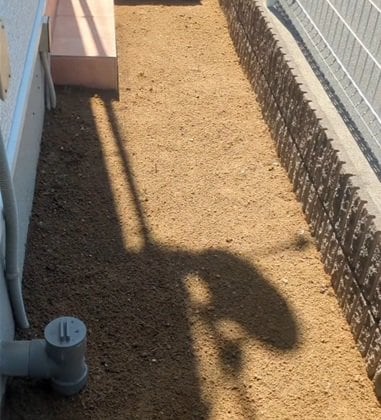 投稿の画像
