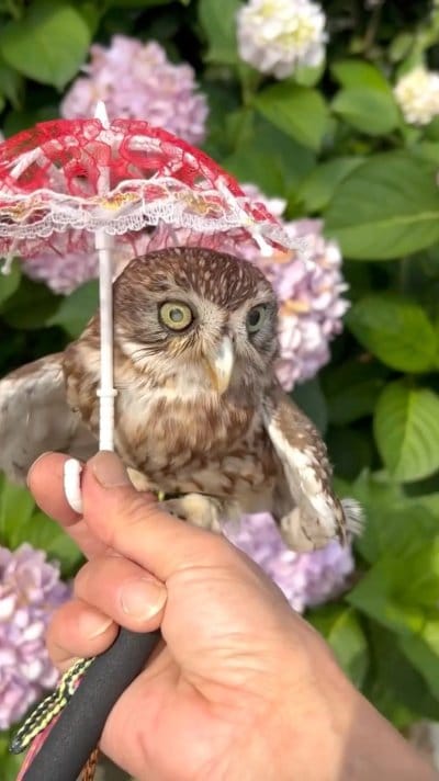 投稿動画のワンシーン