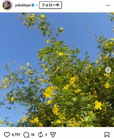 板谷由夏のInstagram投稿