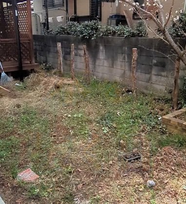 投稿の画像