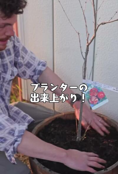 樽に土を入れれば「プランターの出来上がり！」