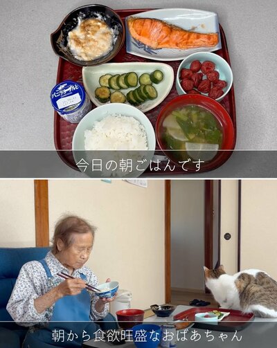 出所：<u><a href="https://www.youtube.com/watch?v=t4njcmgzZLA" target="_blank">@kinoe_playland</a></u>