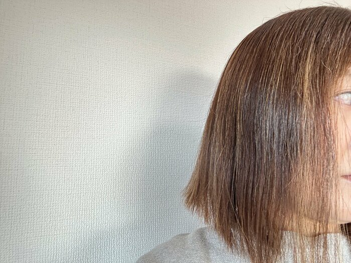 プロケラチンシリーズ使用前の髪