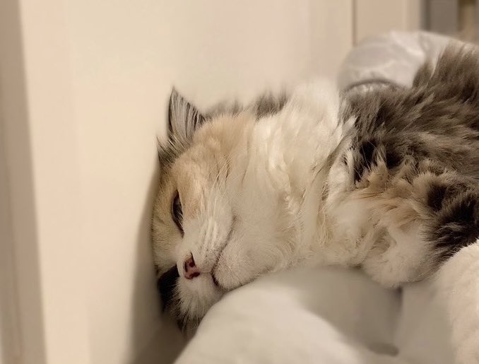 出所：@Erin45805941