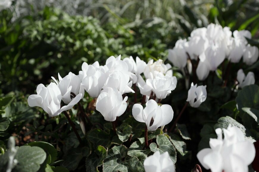 Shin/istockphoto.com