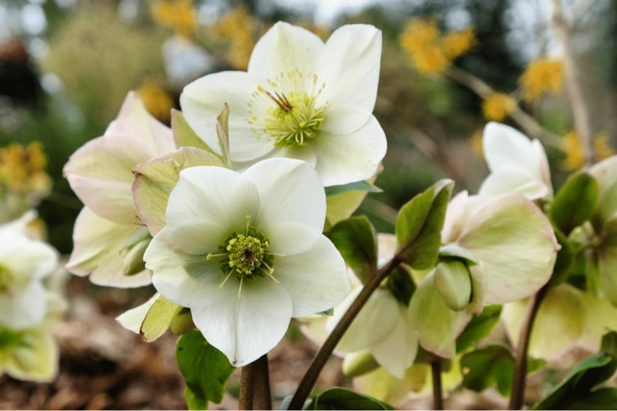 Alex Manders/shutterstock.com