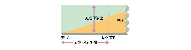 出典：公益財団法人　生命保険文化センター「終身保険」