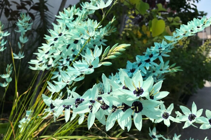 OA2/shutterstock.com