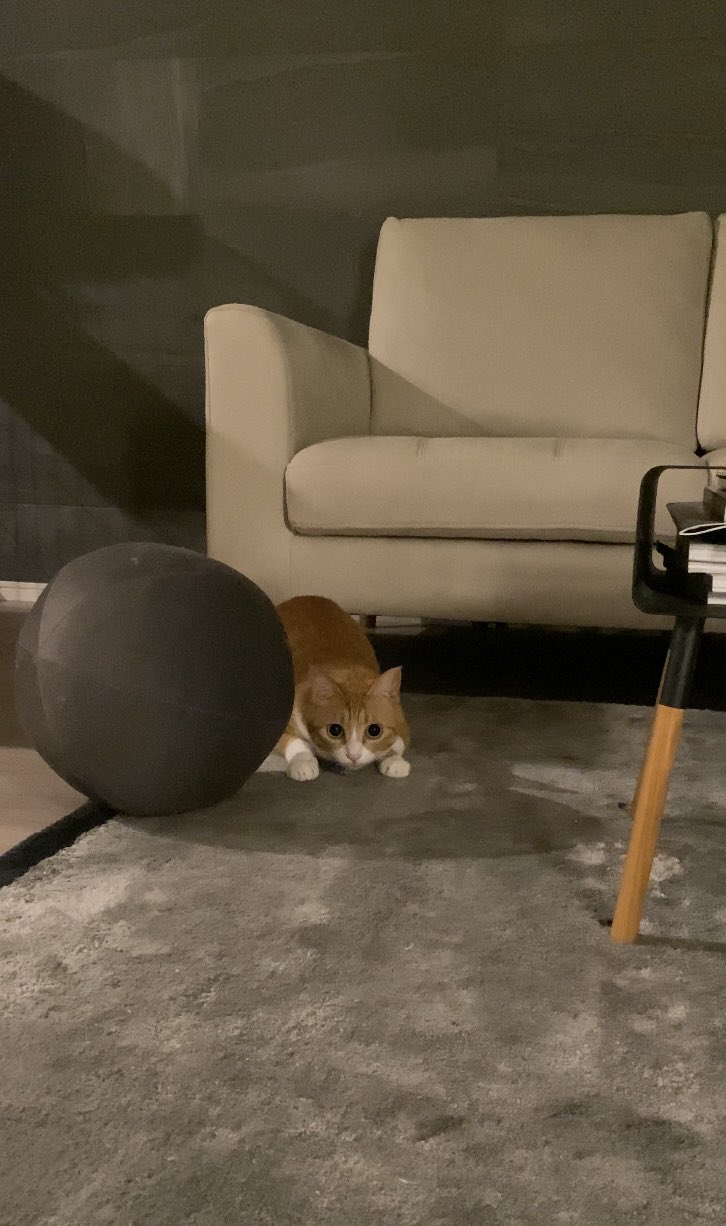 出所：@Cafe__Latte222