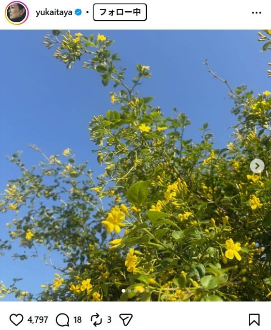 出所：板谷由夏のInstagram（＠yukaitaya） 参照日：2026年4月20日