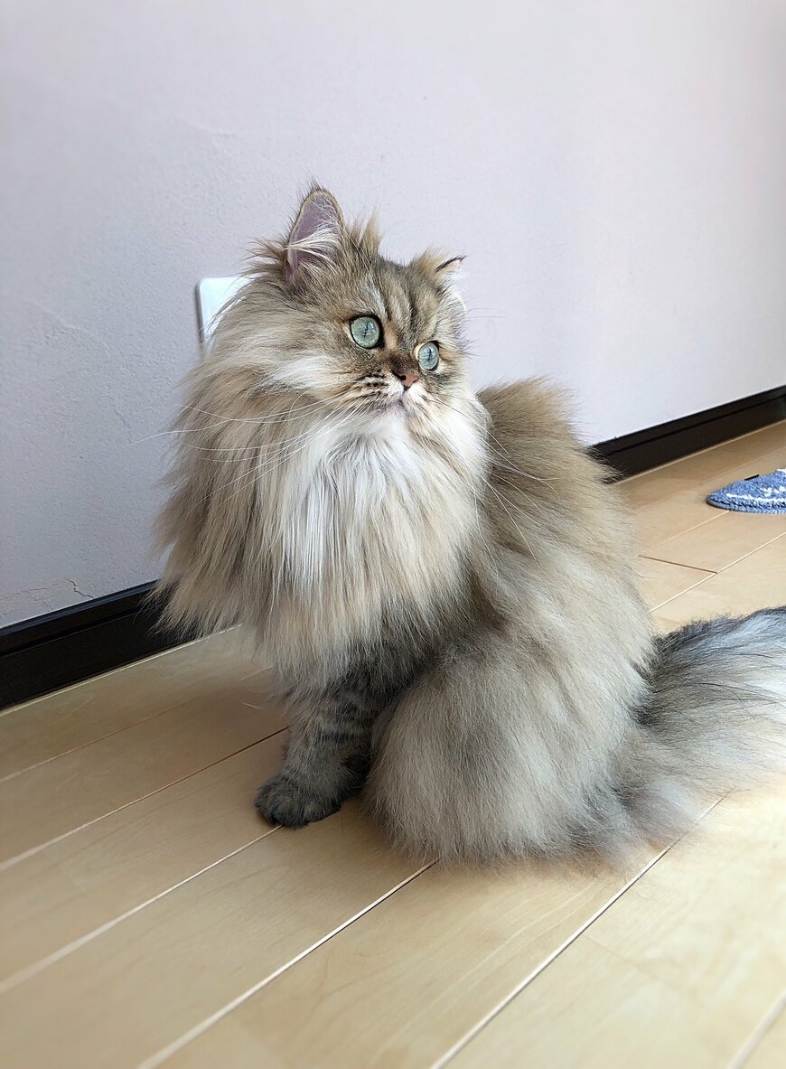 出所：@UphQepCv8J