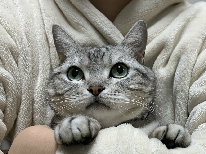 出所：@mifuyu_916