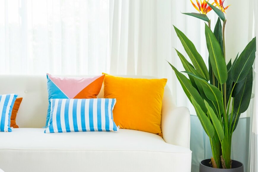 ben bryant/shutterstock.com