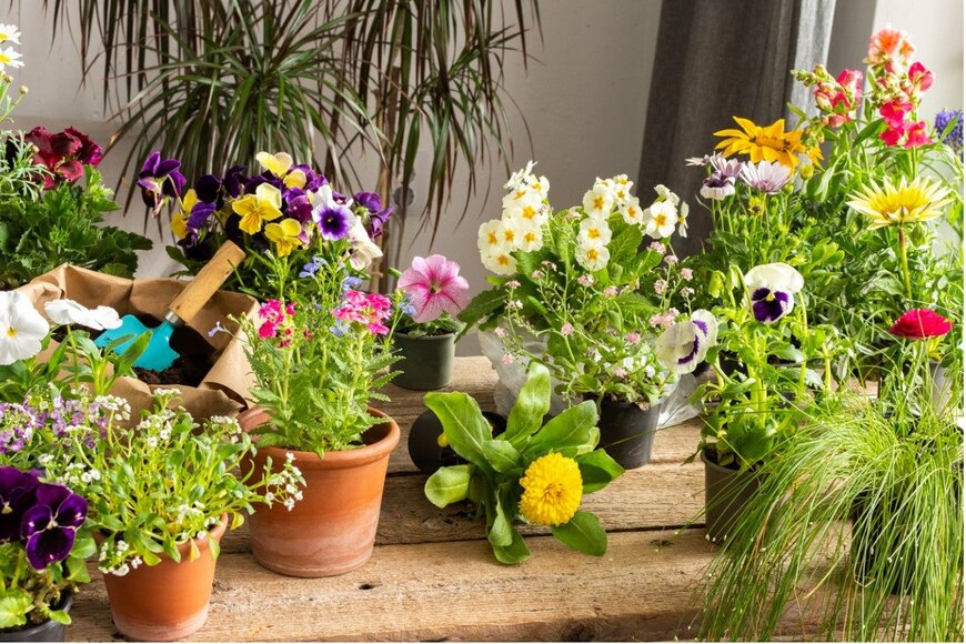 pundapanda/istockphoto.com