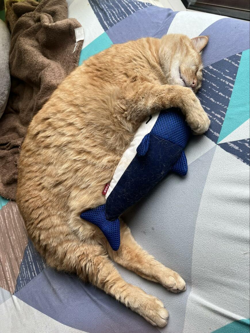 出所：@kagisuzu0531