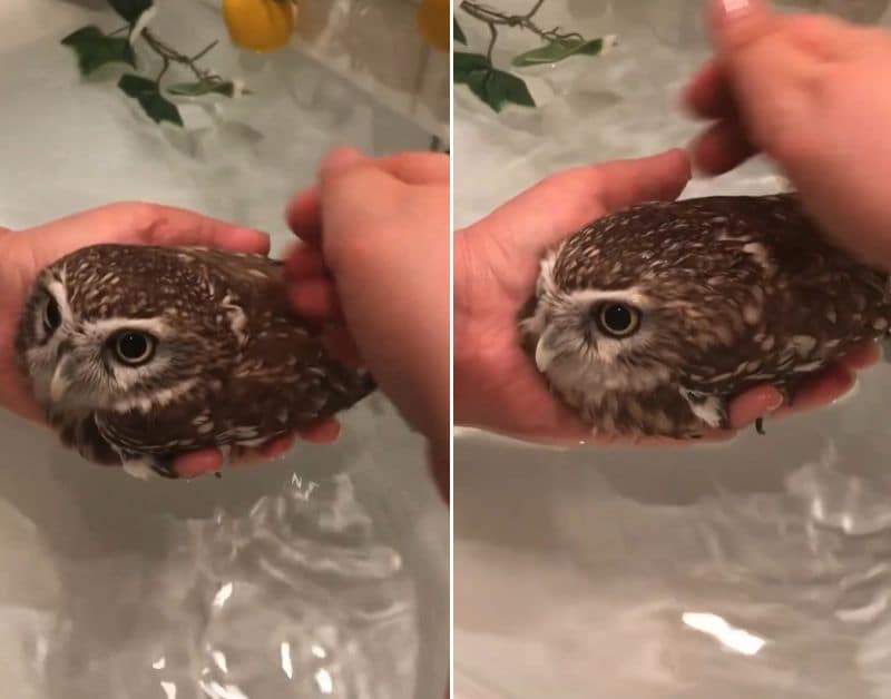 出所：@cr8673.hiro