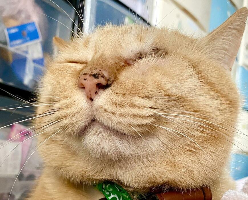 出所：@luna7taka9