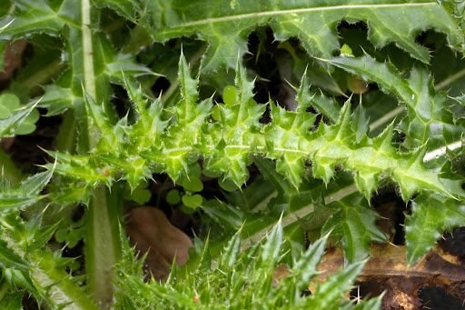 Skyprayer2005/shutterstock.com