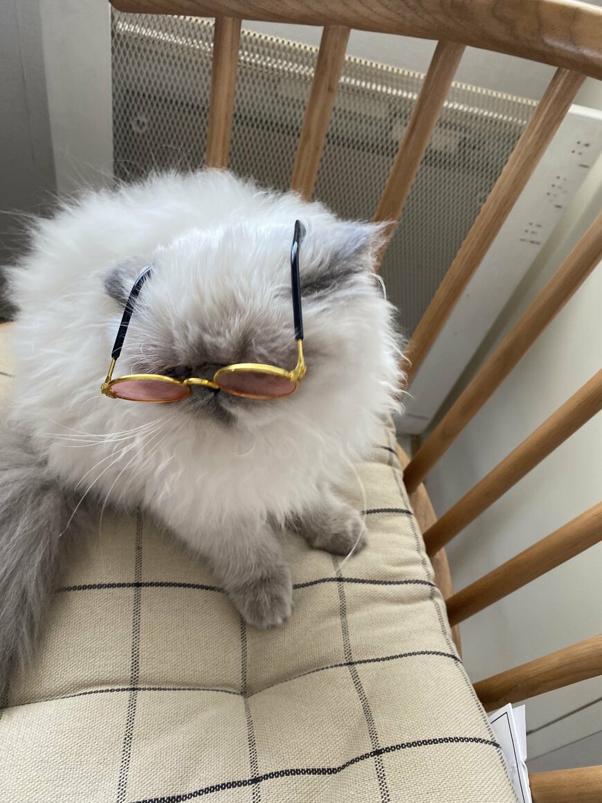 （昔の）ヤンキー風