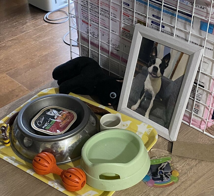 出所：@00shitemita