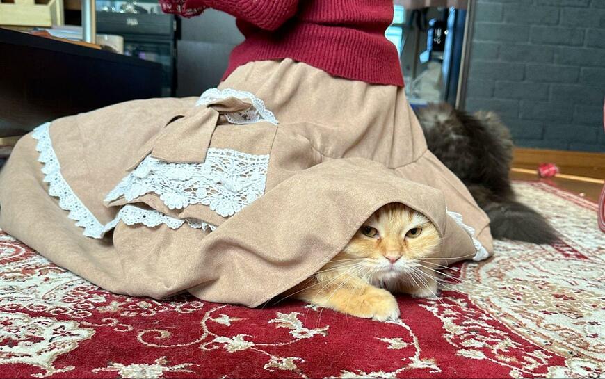 出所：@NEKOLAND13