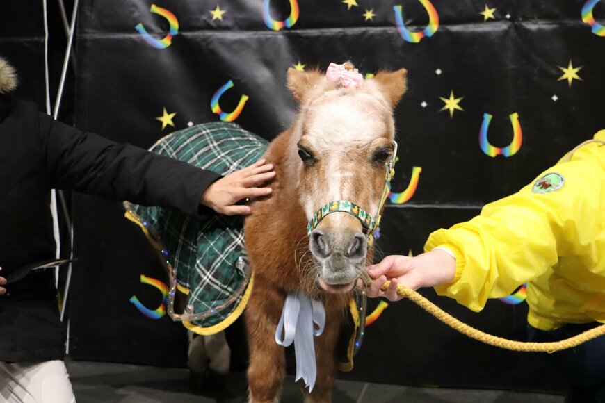 出所：筆者撮影