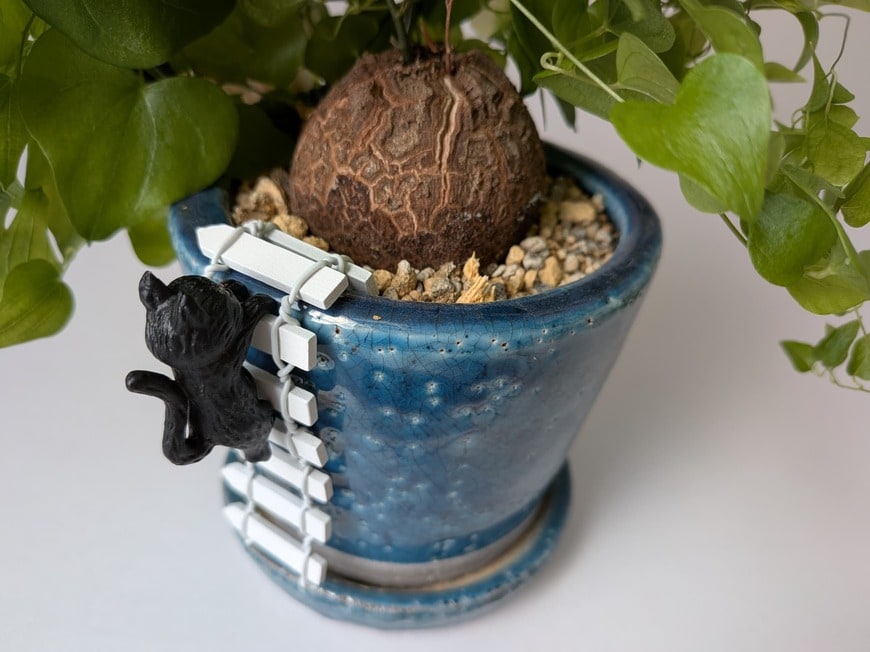 「黒猫もセリアのアイテムです！」