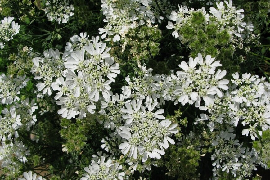 Yosshy/Shutterstock.com