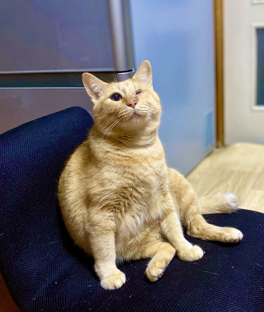 出所：@luna7taka9