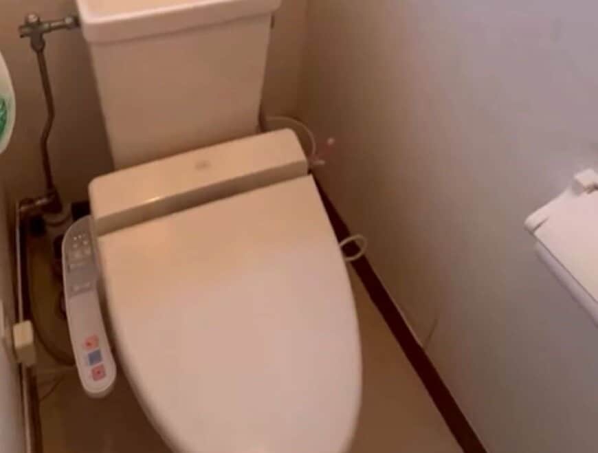 【トイレDIY】築35年の実家の古びたトイレの「壁紙」をDIY　清潔感のある自然な空間に大変身