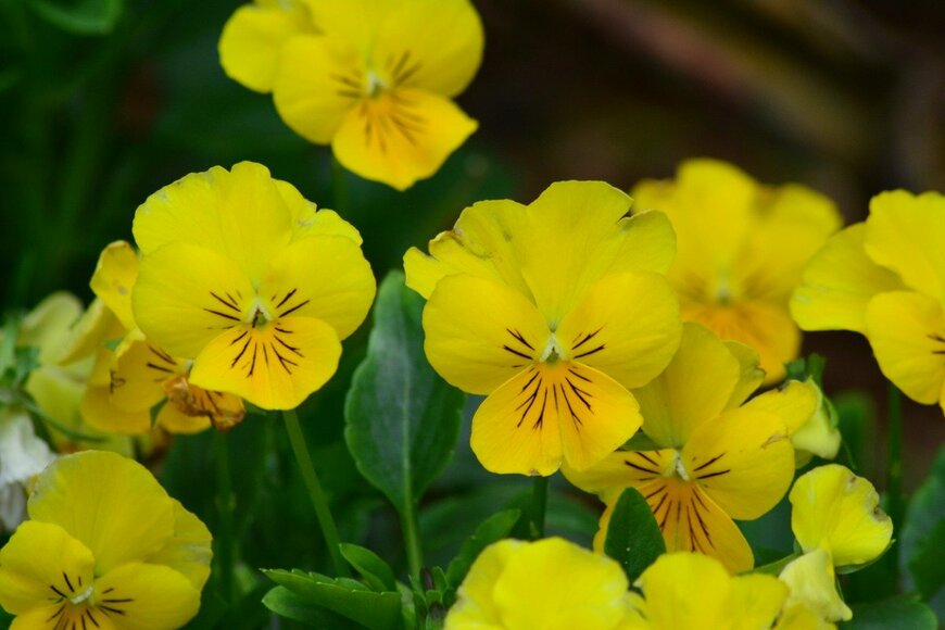 Edson Hardt/istockphoto.com