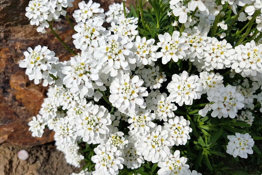 emer1940/istockphoto.com