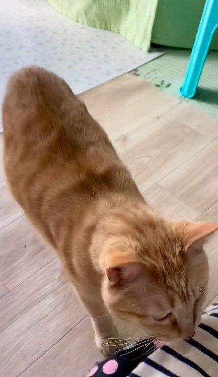 出所：@luna7taka9