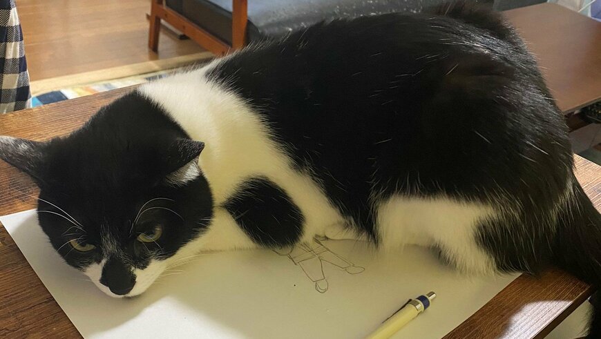 出所：@00shitemita