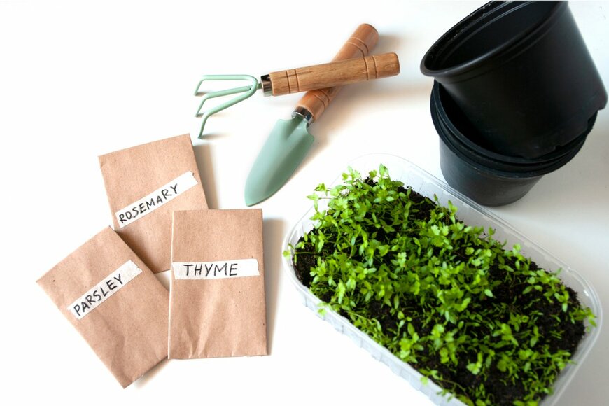 Nina_Hlupich/Shutterstock.com