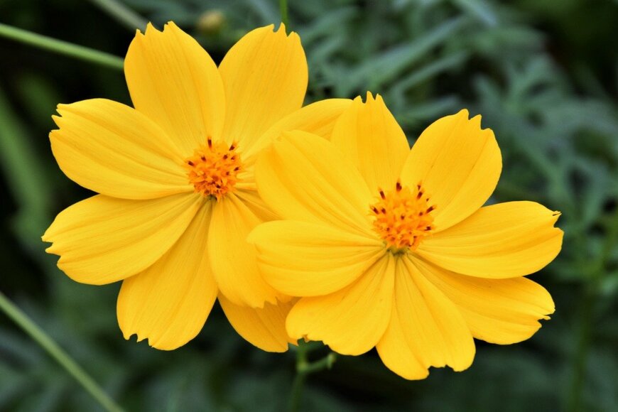 undefined undefined/istockphoto.com