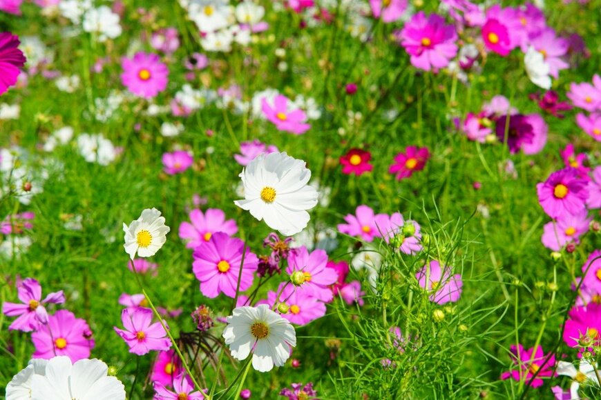 Supersmario/istockphoto.com