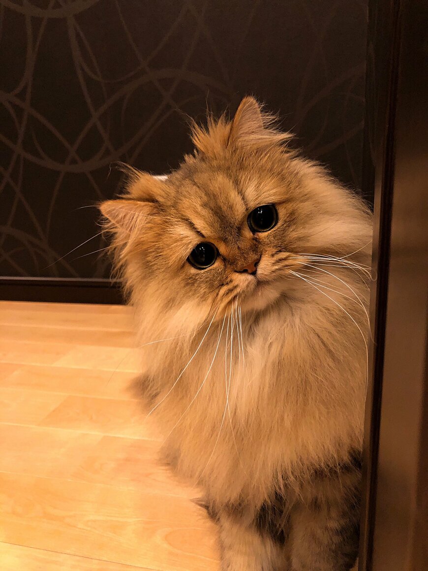 出所：@UphQepCv8J