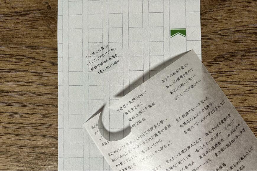 ダイソーの文豪シィル 賽の点滅・文豪シィル 淡文、筆者撮影の商品画像、貼ったところ