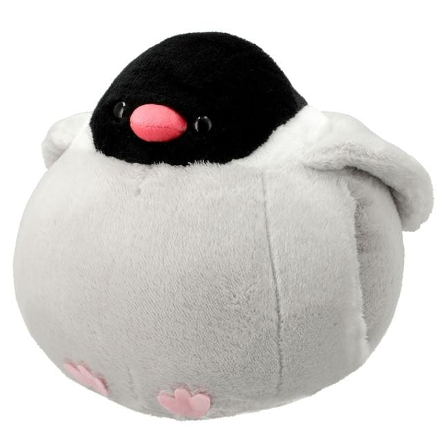 ニトリ、手入れサクラブンチョウ画像